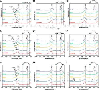 Sol-gel synthesis of lithium doped mesoporous bioactive glass nanoparticles and tricalcium silicate for restorative dentistry: Comparative investigation of physico-chemical structure, antibacterial susceptibility and biocompatibility